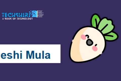 deshi mula - টেকসিঁড়ি